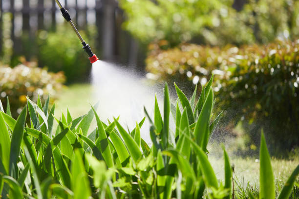 24/7 Emergency Fumigation Services experts in Arlington Heights, WA