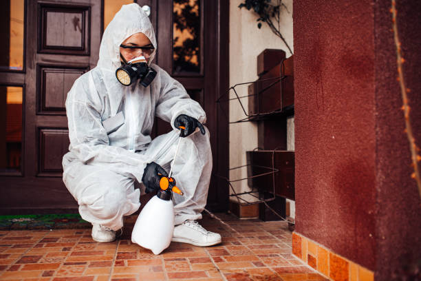 Reliable Fumigation Services contractor in Arlington Heights, WA by Nex Pest Control