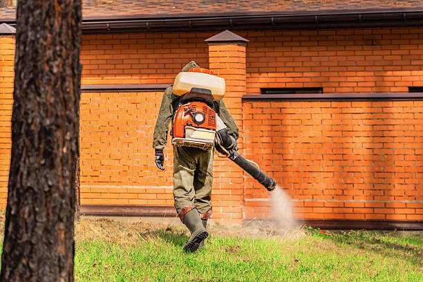 Trusted Rodent Control service in Arlington Heights, WA - Nex Pest Control